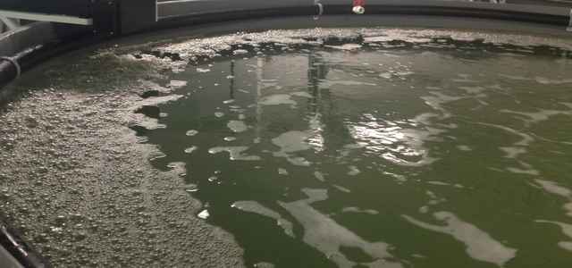 New contract for Aquaculture farming technology