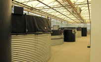 2010 - Design and construction intensive shrimp farm Italy
