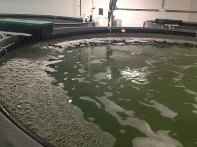 New contract for Aquaculture farming technology