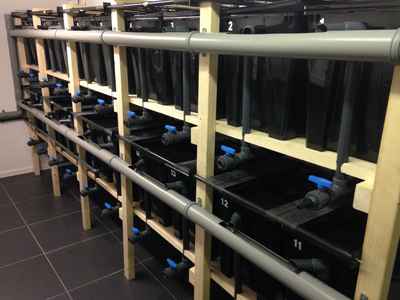 AFT has a new aquaculture research system