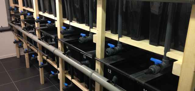 AFT has a new aquaculture research system