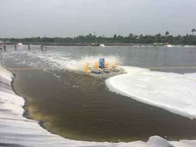AFT (Leon Claessens) is currently traveling through India. 