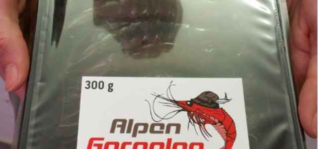 First harvest of Shrimps in Tirol Austria