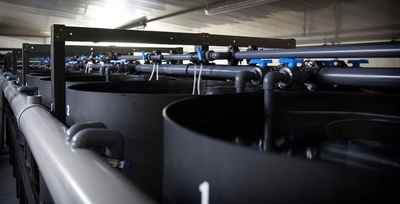 Aquafeed R&D