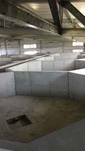 Shrimp project central Asia