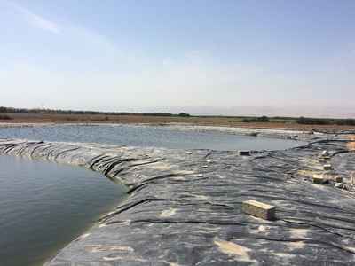 Ponds Jordania